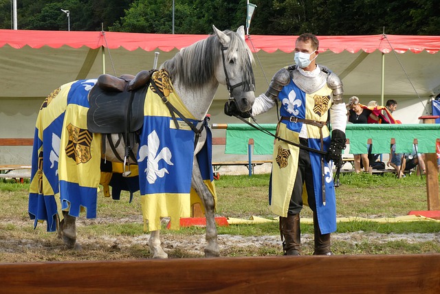 成功击败对 成功击败对