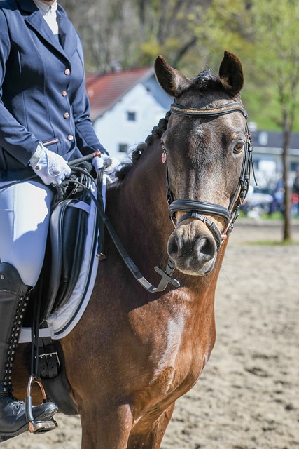 拉齐奥的表 拉齐奥的表