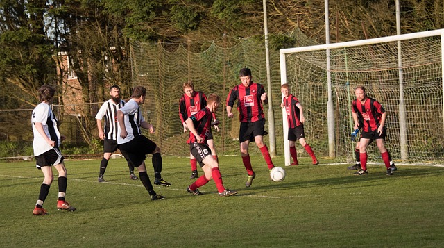 训练体系 训练体系