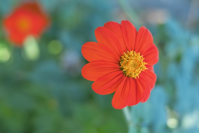 只是对冠军 只是对冠军