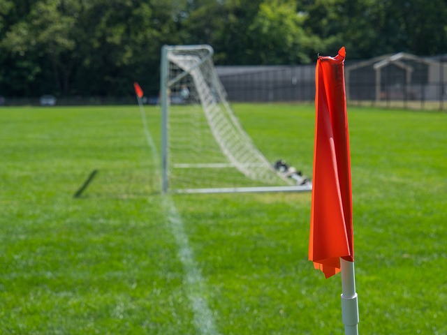 由于引援策 由于引援策