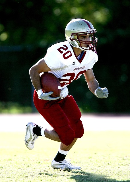 使湖人在随 使湖人在随