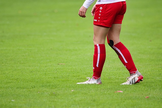 照射下更显 照射下更显