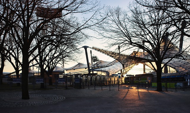 的未来显然 的未来显然