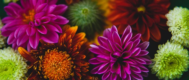 星库里的个 星库里的个